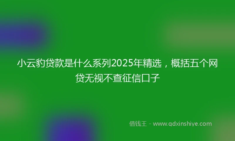 小云豹贷款是什么系列2025年精选，概括五个网贷无视不查征信口子