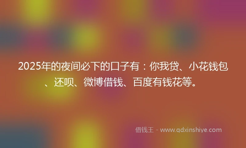 2025年的夜间必下的口子有：你我贷、小花钱包、还呗、微博借钱、百度有钱花等。