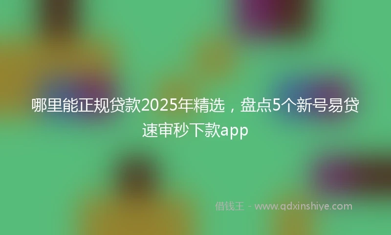 哪里能正规贷款2025年精选，盘点5个新号易贷速审秒下款app