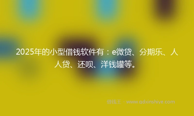 2025年的小型借钱软件有：e微贷、分期乐、人人贷、还呗、洋钱罐等。