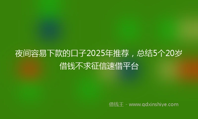 夜间容易下款的口子2025年推荐,总结5个20岁借钱不求征信速借平台