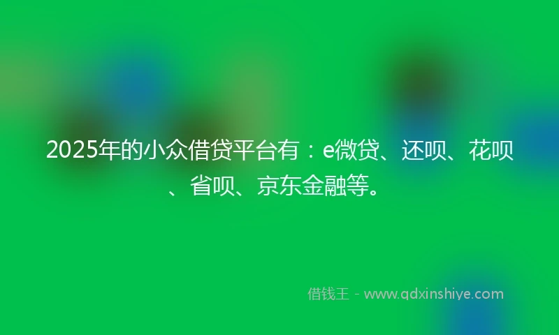 2025年的小众借贷平台有：e微贷、还呗、花呗、省呗、京东金融等。