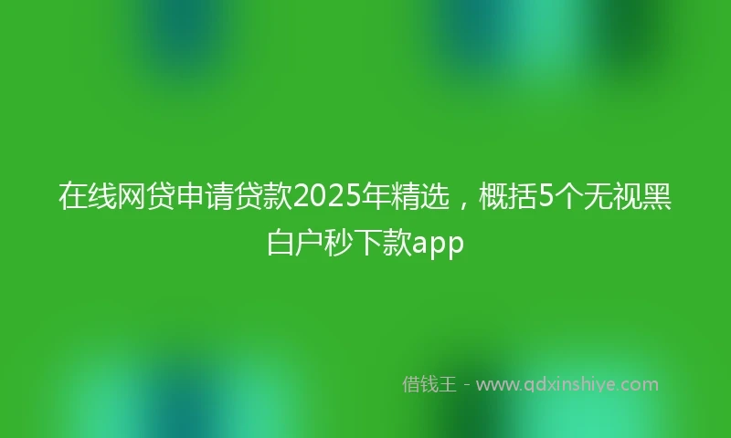 在线网贷申请贷款2025年精选，概括5个无视黑白户秒下款app