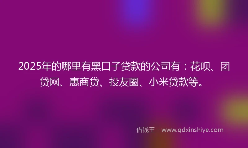2025年的哪里有黑口子贷款的公司有：花呗、团贷网、惠商贷、投友圈、小米贷款等。