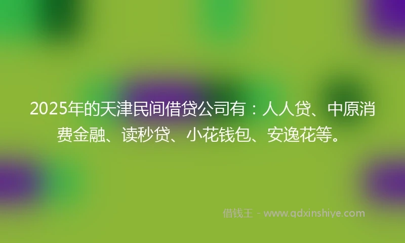 2025年的天津民间借贷公司有：人人贷、中原消费金融、读秒贷、小花钱包、安逸花等。