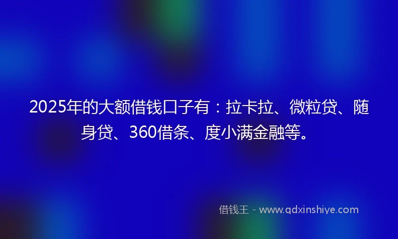2025年的大额借钱口子有:拉卡拉、微粒贷、随身贷、360借条、度小满金融等。