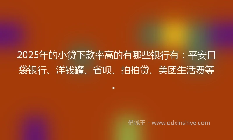 2025年的小贷下款率高的有哪些银行有：平安口袋银行、洋钱罐、省呗、拍拍贷、美团生活费等。