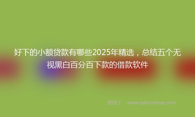好下的小额贷款有哪些2025年精选，总结五个无视黑白百分百下款的借款软件