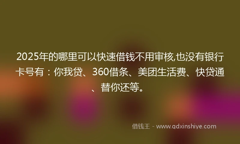 2025年的哪里可以快速借钱不用审核,也没有银行卡号有：你我贷、360借条、美团生活费、快贷通、替你还等。
