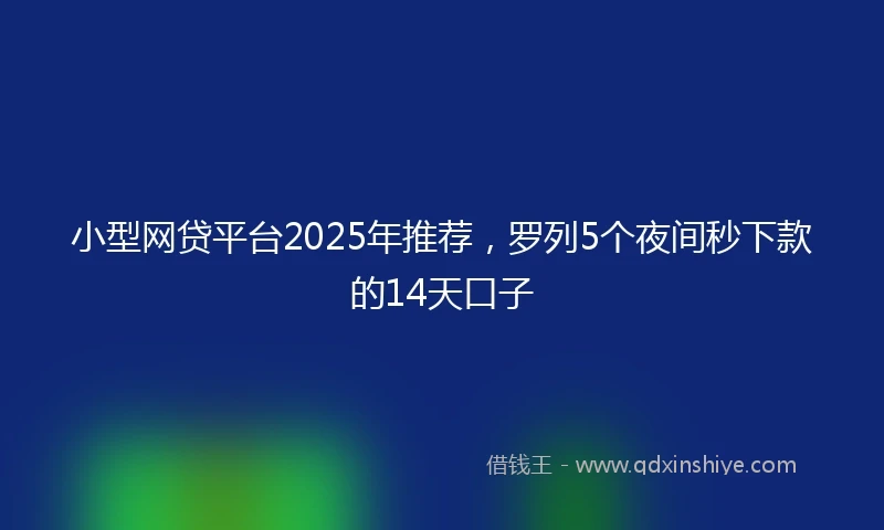 小型网贷平台2025年推荐，罗列5个夜间秒下款的14天口子