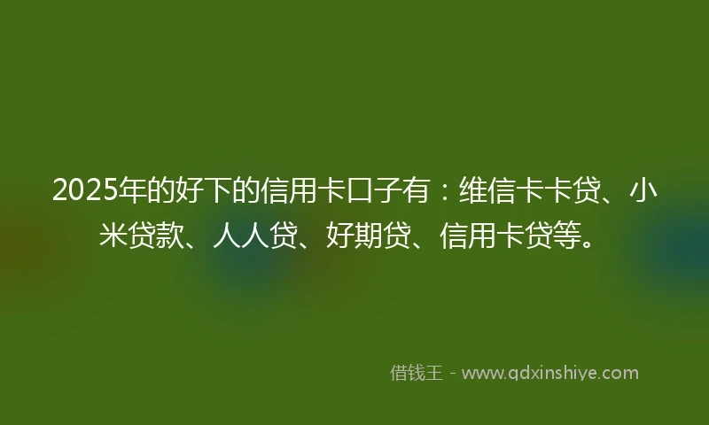 2025年的好下的信用卡口子有：维信卡卡贷、小米贷款、人人贷、好期贷、信用卡贷等。