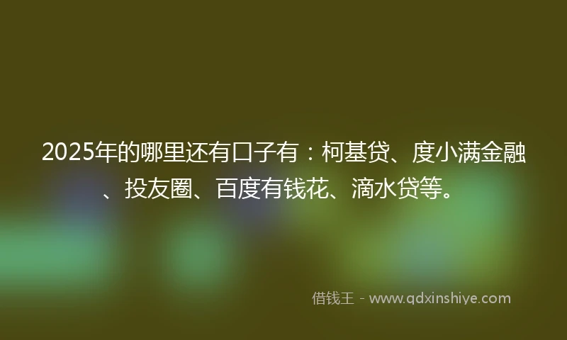 2025年的哪里还有口子有：柯基贷、度小满金融、投友圈、百度有钱花、滴水贷等。