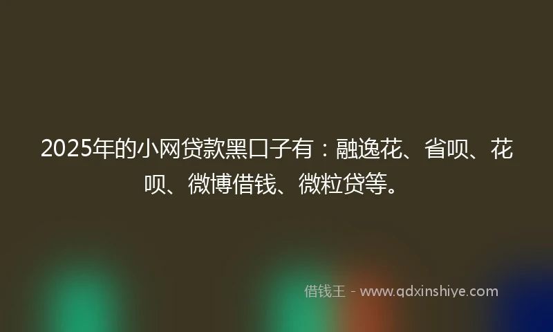 2025年的小网贷款黑口子有：融逸花、省呗、花呗、微博借钱、微粒贷等。