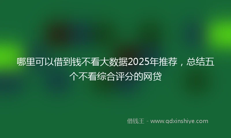 哪里可以借到钱不看大数据2025年推荐，总结五个不看综合评分的网贷