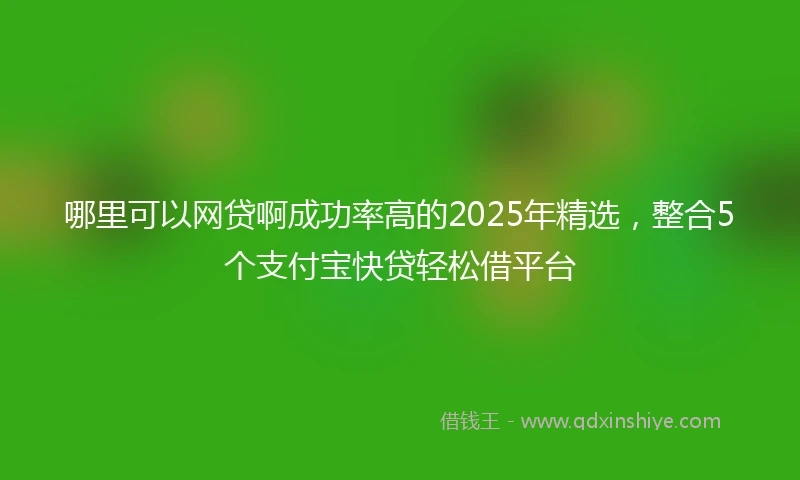 哪里可以网贷啊成功率高的2025年精选，整合5个支付宝快贷轻松借平台