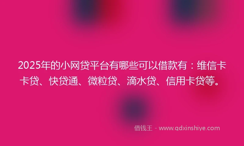 2025年的小网贷平台有哪些可以借款有：维信卡卡贷、快贷通、微粒贷、滴水贷、信用卡贷等。