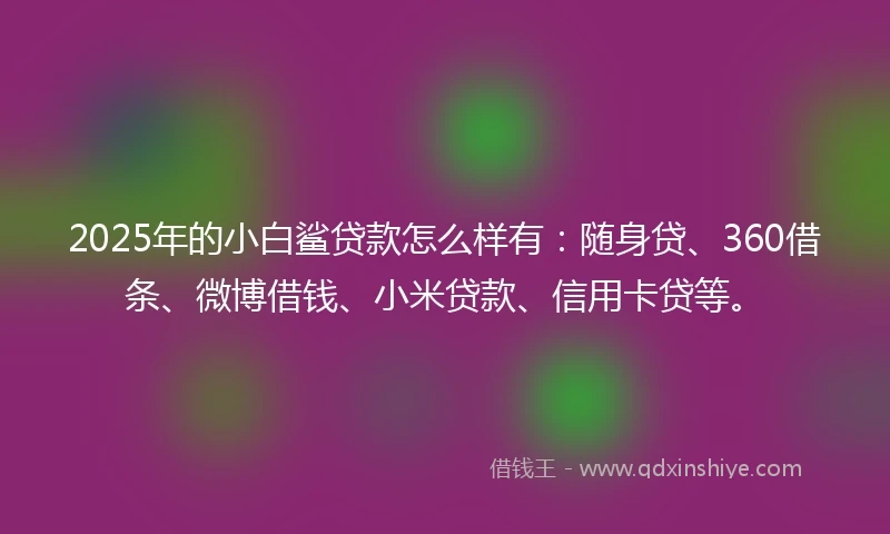 2025年的小白鲨贷款怎么样有：随身贷、360借条、微博借钱、小米贷款、信用卡贷等。