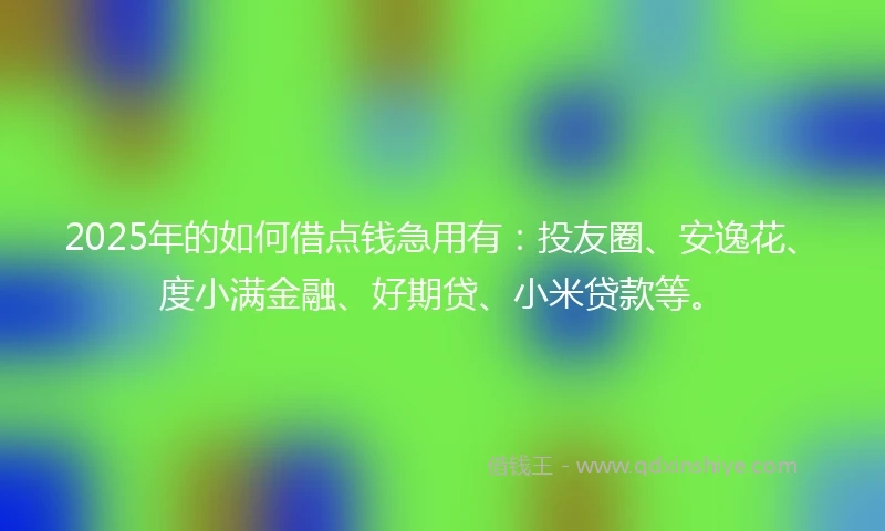 2025年的如何借点钱急用有：投友圈、安逸花、度小满金融、好期贷、小米贷款等。