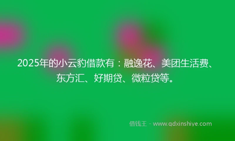 2025年的小云豹借款有：融逸花、美团生活费、东方汇、好期贷、微粒贷等。