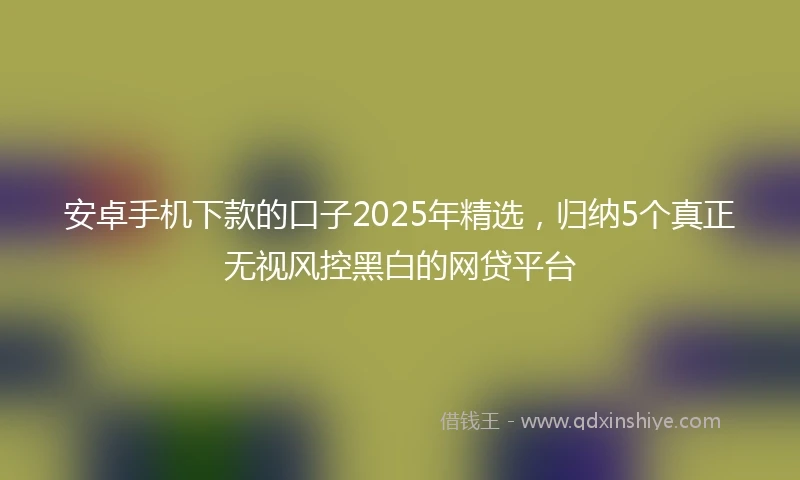 安卓手机下款的口子2025年精选，归纳5个真正无视风控黑白的网贷平台