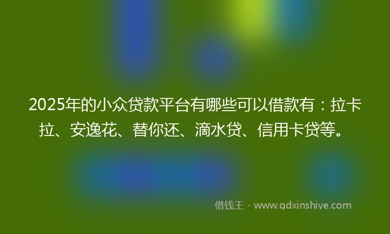 2025年的小众贷款平台有哪些可以借款有：拉卡拉、安逸花、替你还、滴水贷、信用卡贷等。
