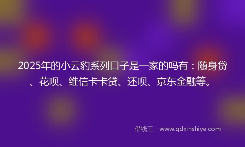 2025年的小云豹系列口子是一家的吗有：随身贷、花呗、维信卡卡贷、还呗、京东金融等。