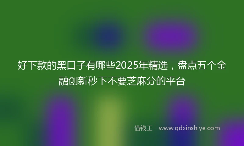 好下款的黑口子有哪些2025年精选，盘点五个金融创新秒下不要芝麻分的平台