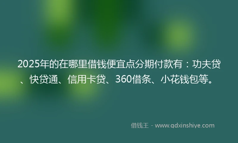 2025年的在哪里借钱便宜点分期付款有：功夫贷、快贷通、信用卡贷、360借条、小花钱包等。