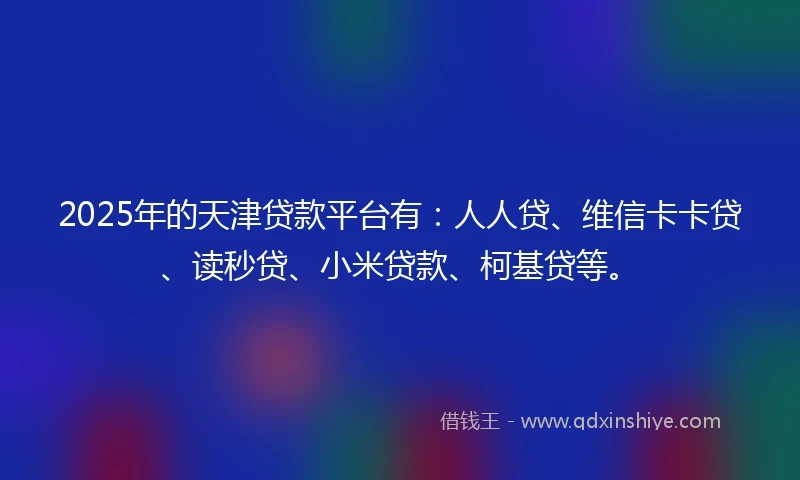 2025年的天津贷款平台有：人人贷、维信卡卡贷、读秒贷、小米贷款、柯基贷等。