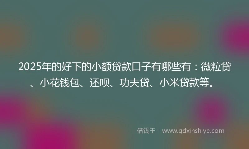 2025年的好下的小额贷款口子有哪些有：微粒贷、小花钱包、还呗、功夫贷、小米贷款等。