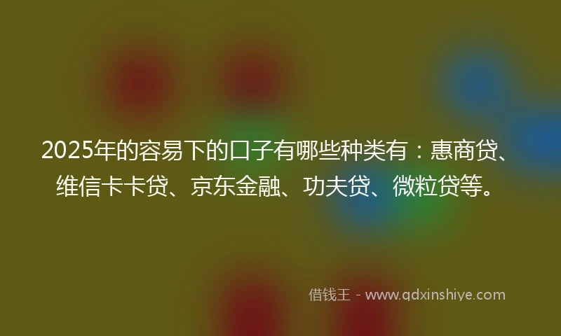 2025年的容易下的口子有哪些种类有：惠商贷、维信卡卡贷、京东金融、功夫贷、微粒贷等。