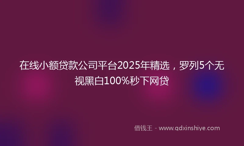 在线小额贷款公司平台2025年精选，罗列5个无视黑白100%秒下网贷