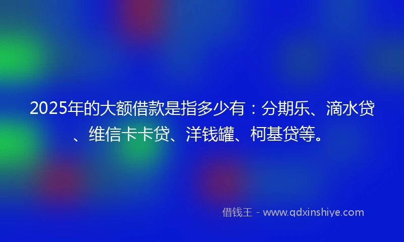 2025年的大额借款是指多少有：分期乐、滴水贷、维信卡卡贷、洋钱罐、柯基贷等。