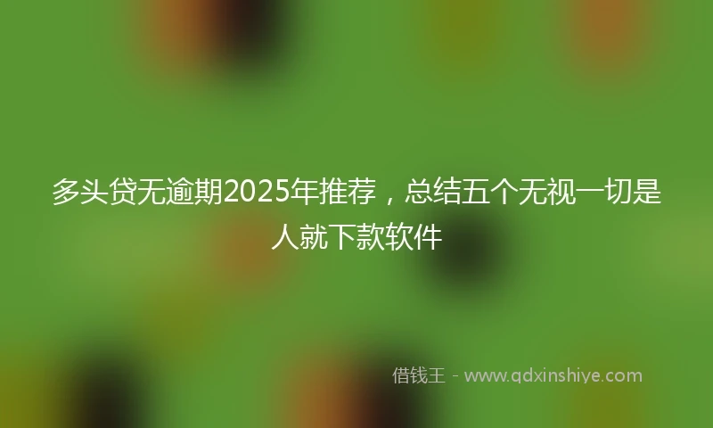 多头贷无逾期2025年推荐，总结五个无视一切是人就下款软件