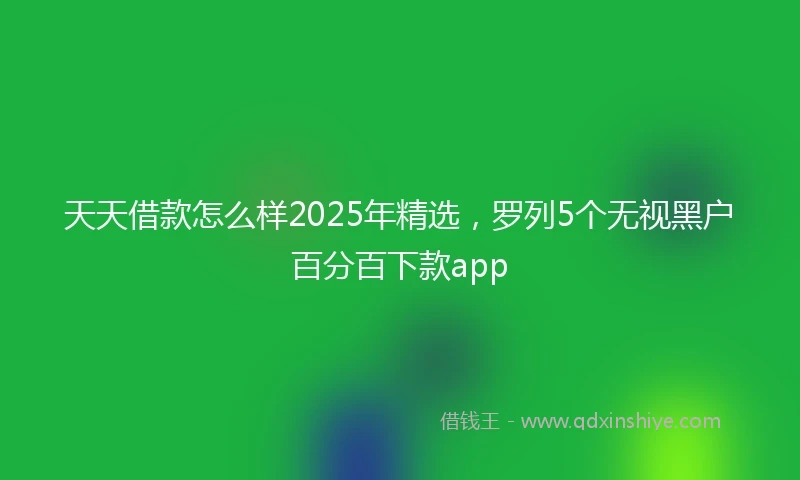 天天借款怎么样2025年精选，罗列5个无视黑户百分百下款app