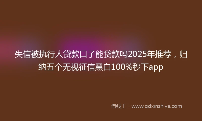 失信被执行人贷款口子能贷款吗2025年推荐,归纳五个无视征信黑白100%秒下app