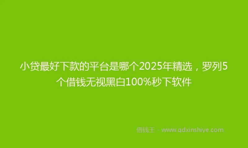 小贷最好下款的平台是哪个2025年精选，罗列5个借钱无视黑白100%秒下软件
