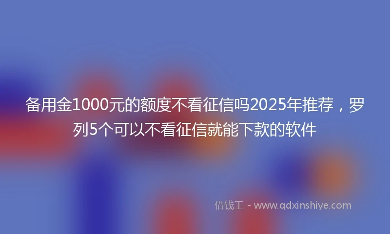 备用金1000元的额度不看征信吗2025年推荐，罗列5个可以不看征信就能下款的软件