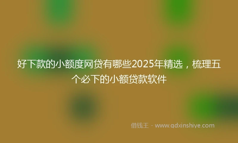 好下款的小额度网贷有哪些2025年精选，梳理五个必下的小额贷款软件