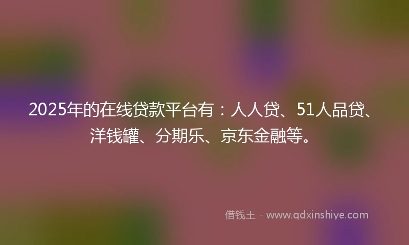 2025年的在线贷款平台有：人人贷、51人品贷、洋钱罐、分期乐、京东金融等。