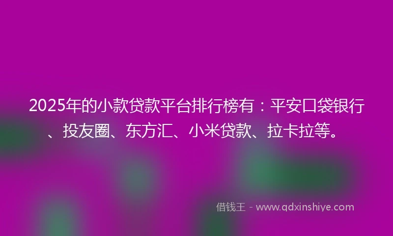 2025年的小款贷款平台排行榜有：平安口袋银行、投友圈、东方汇、小米贷款、拉卡拉等。