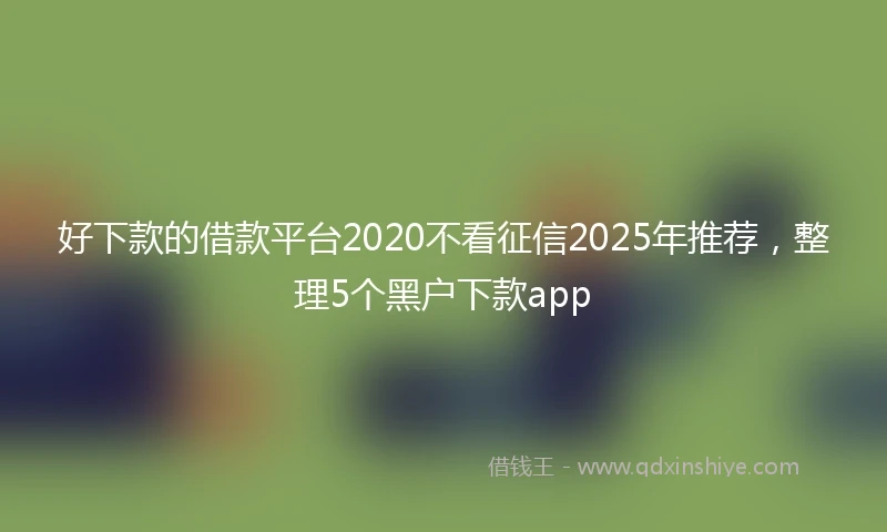 好下款的借款平台2020不看征信2025年推荐，整理5个黑户下款app