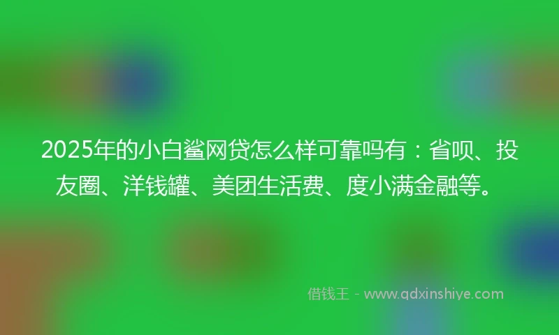 2025年的小白鲨网贷怎么样可靠吗有：省呗、投友圈、洋钱罐、美团生活费、度小满金融等。