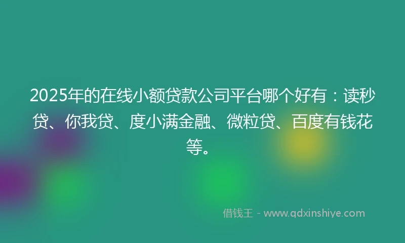 2025年的在线小额贷款公司平台哪个好有：读秒贷、你我贷、度小满金融、微粒贷、百度有钱花等。