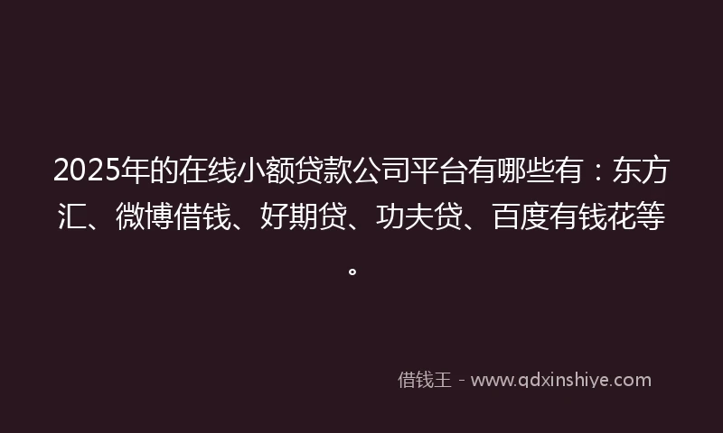 2025年的在线小额贷款公司平台有哪些有：东方汇、微博借钱、好期贷、功夫贷、百度有钱花等。
