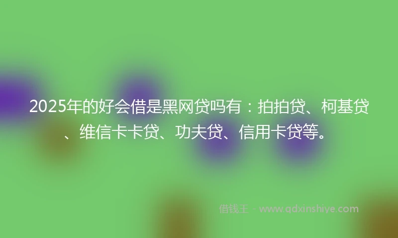 2025年的好会借是黑网贷吗有：拍拍贷、柯基贷、维信卡卡贷、功夫贷、信用卡贷等。