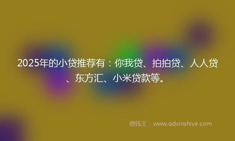 2025年的小贷推荐有：你我贷、拍拍贷、人人贷、东方汇、小米贷款等。