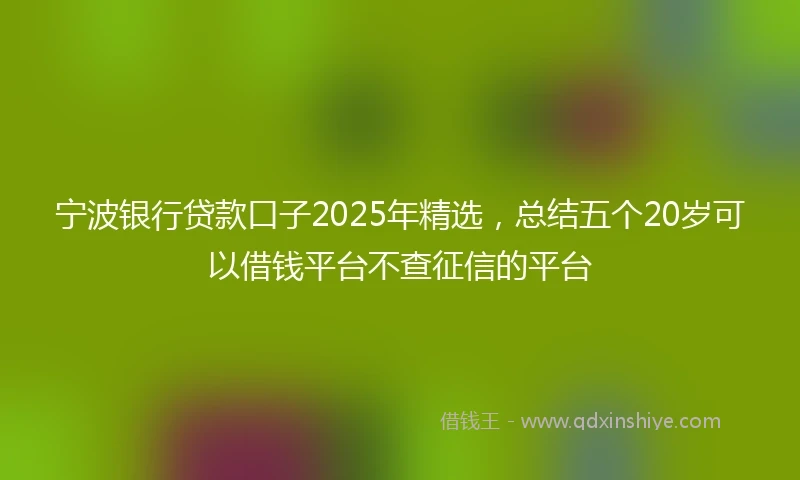 宁波银行贷款口子2025年精选，总结五个20岁可以借钱平台不查征信的平台