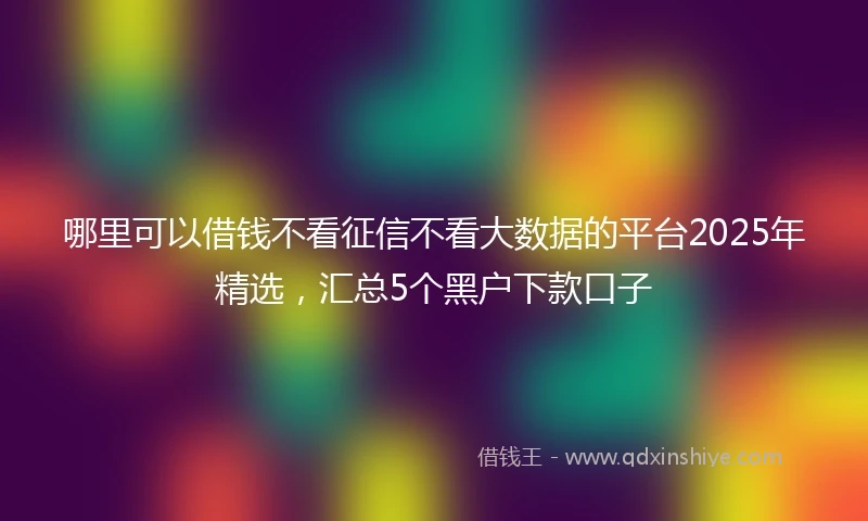 哪里可以借钱不看征信不看大数据的平台2025年精选，汇总5个黑户下款口子