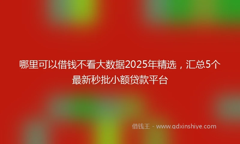 哪里可以借钱不看大数据2025年精选，汇总5个最新秒批小额贷款平台